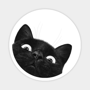 Funny black cat Magnet